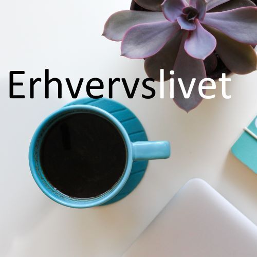 Erhvervslivet