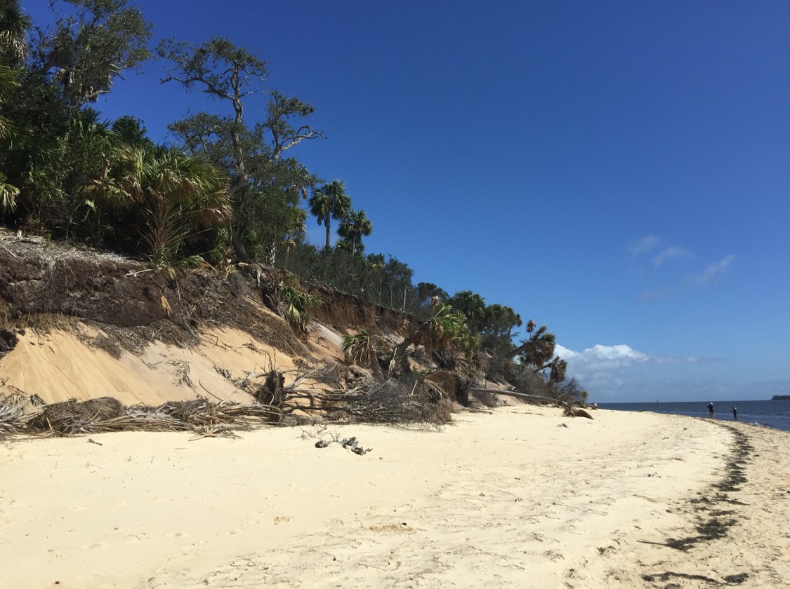 JJ  Island Life