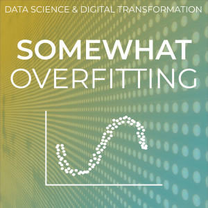 Somewhat Overfitting - Data Science & Digital Transformation