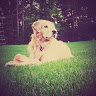 Nick