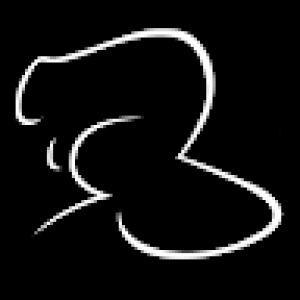 User Podcast Logo