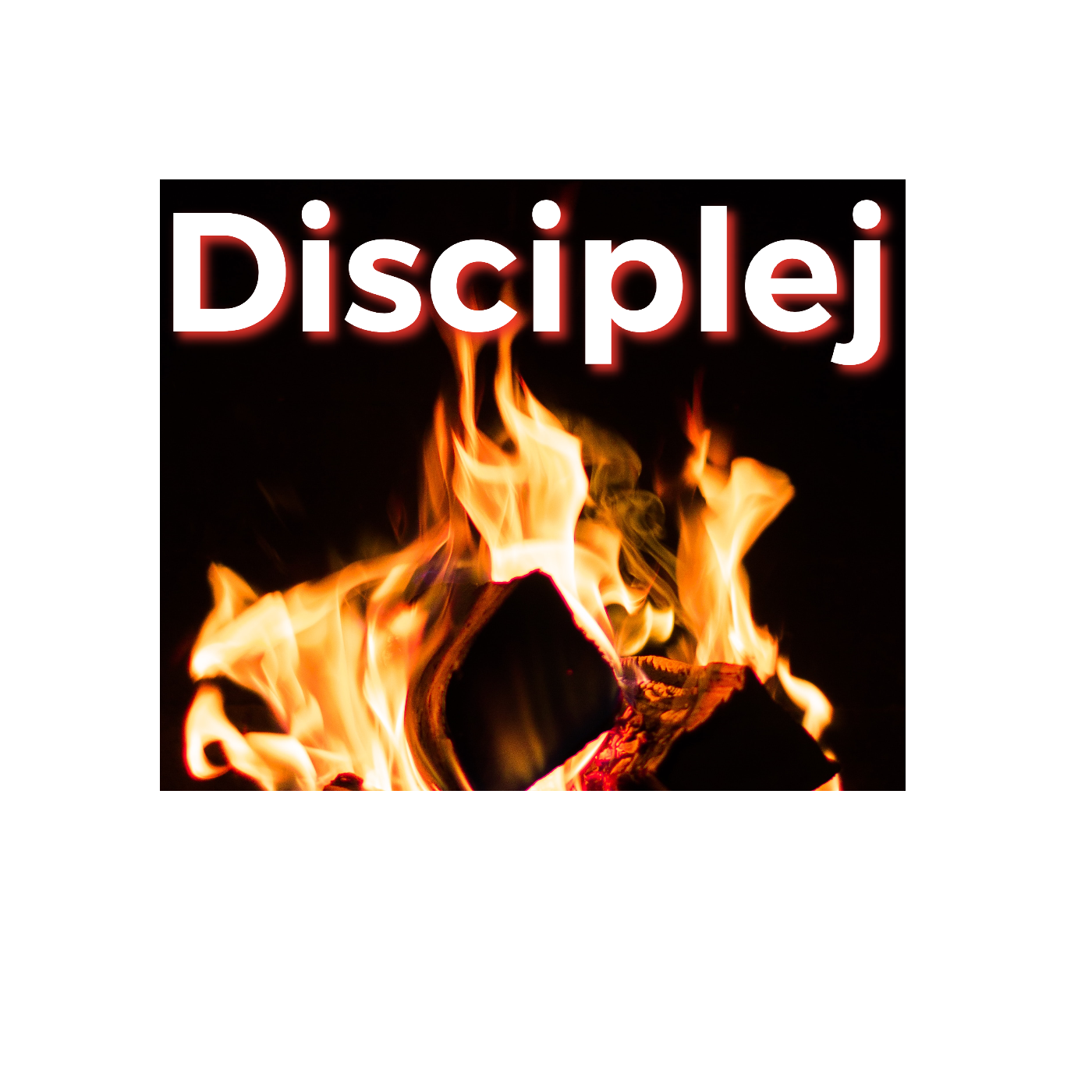 Disciplej