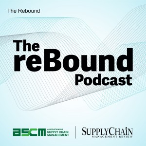The Rebound: From Supply Chain Re-design to Resilience