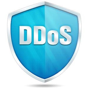 DDoS Protection