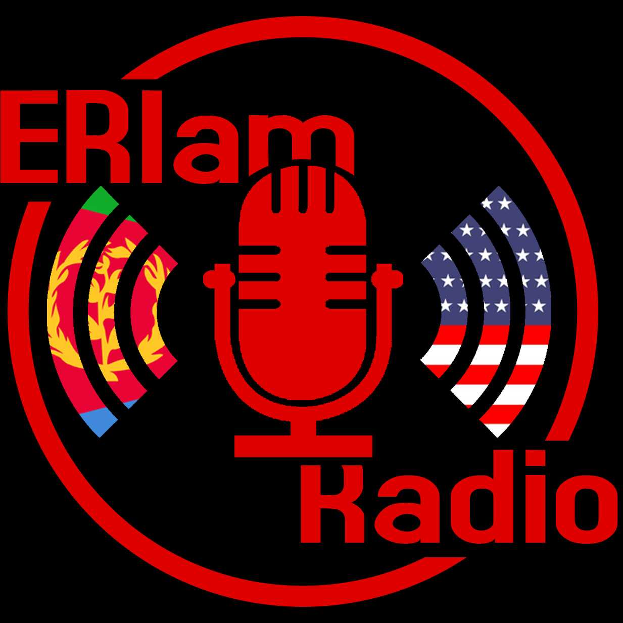 ERIam Podcast - Episode 2