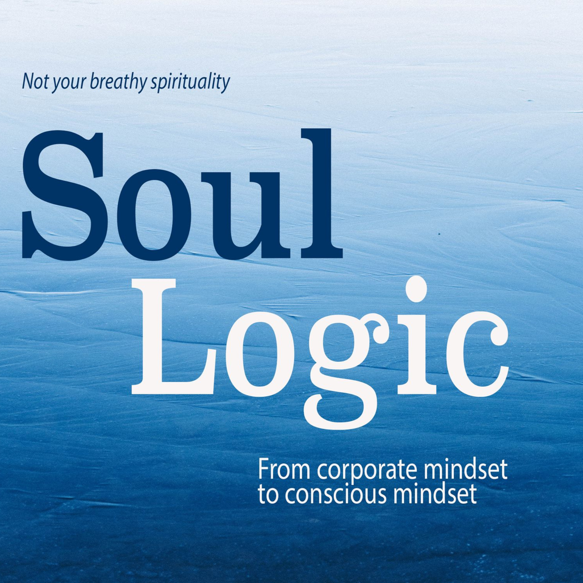 Soul Logic - Not Your Breathy Spirituality