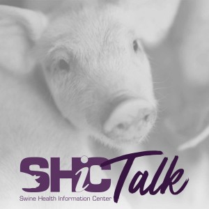 SHIC Talk Ep 6 - SHIC Progress - Drs Connor and Olsen