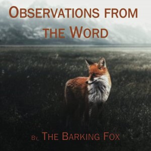 Observations from the Word by The Barking Fox