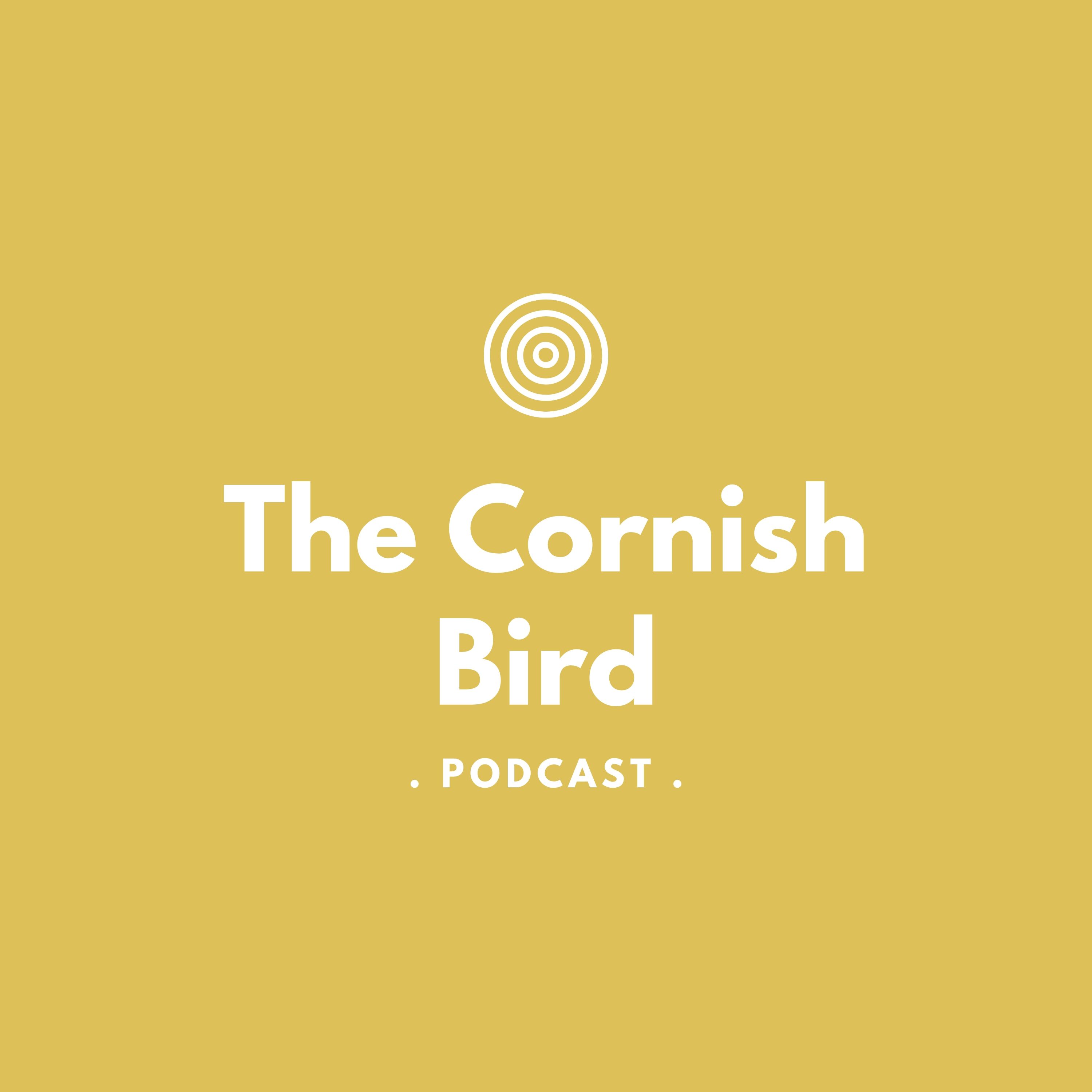 The Cornish Bird Artwork