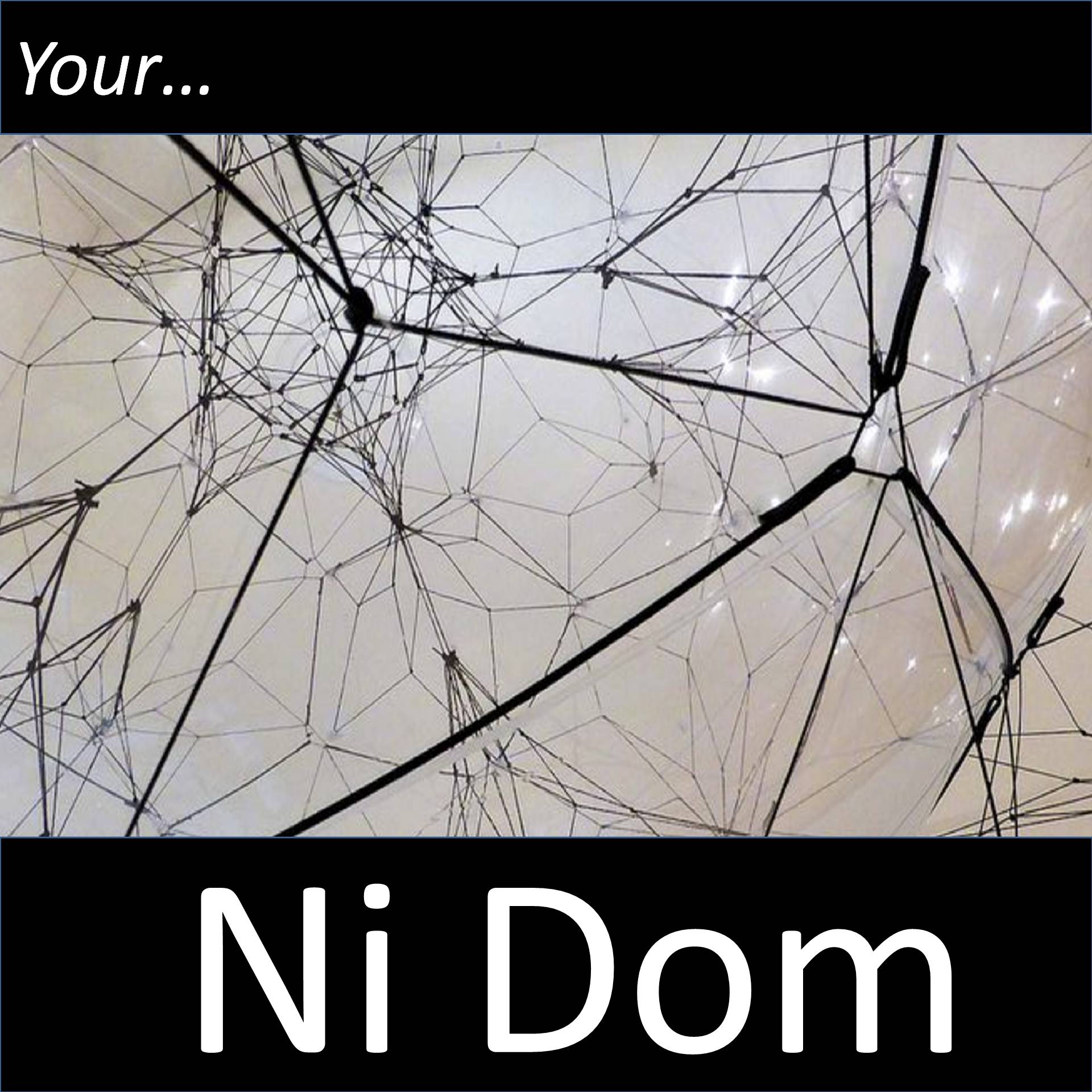 Your Ni Dom