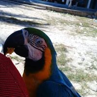 NatureBoyHealthNation