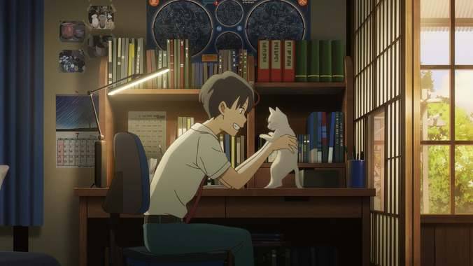 Amor de gata ]! pelicula Completa espanol (2020) HD en linea gratis