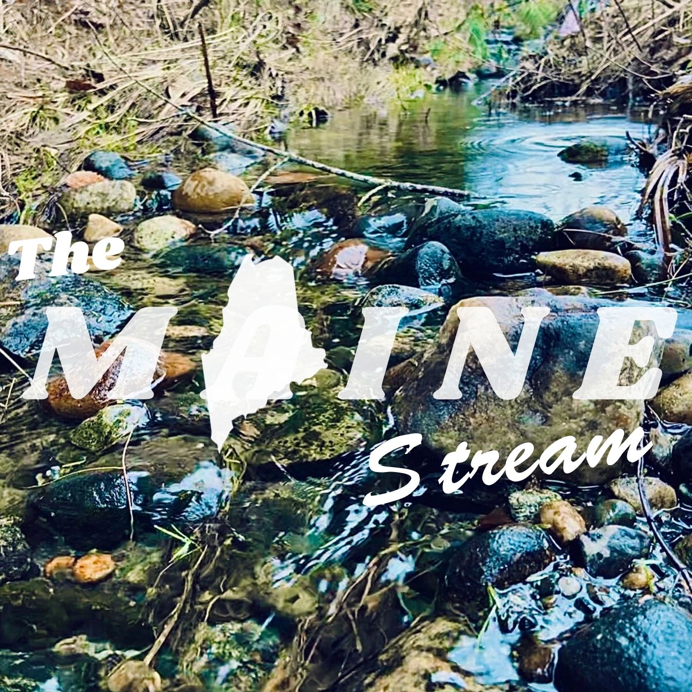 The Maine Stream