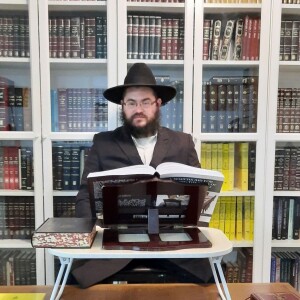 Letorah for a daughter, Maternal lineage, Purchasing tickets on Shabbos