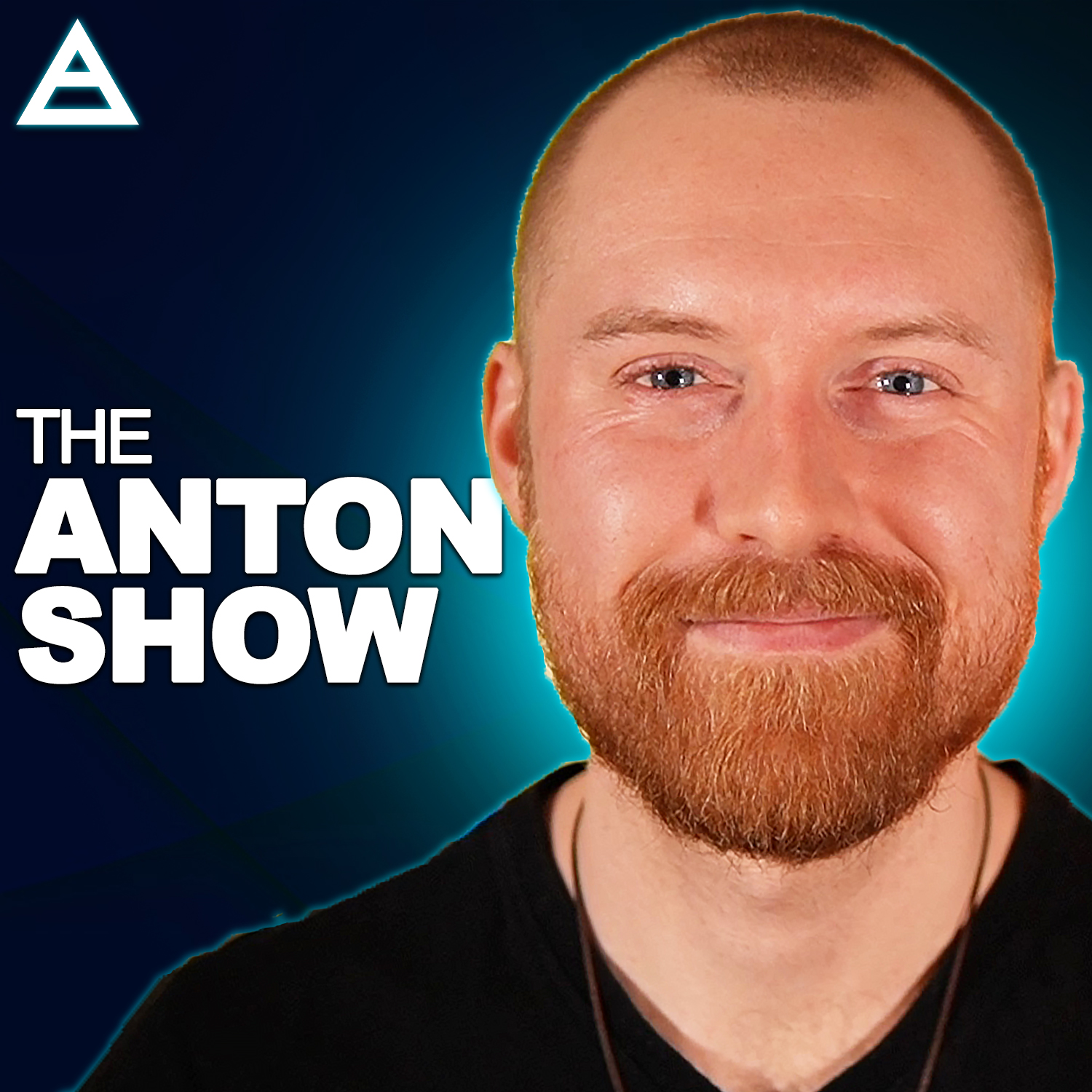 The Anton Network Audio Experience