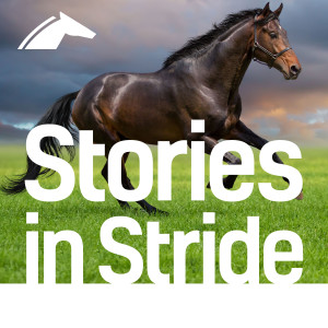 Stories In Stride
