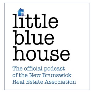 AMALGAMATION PART 2: Little Blue House Chats with Jamie and Luke