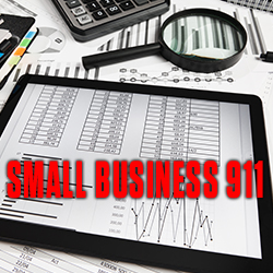 Small Business 911