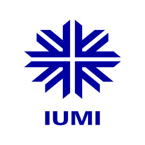 IUMI Facts & Figures Report