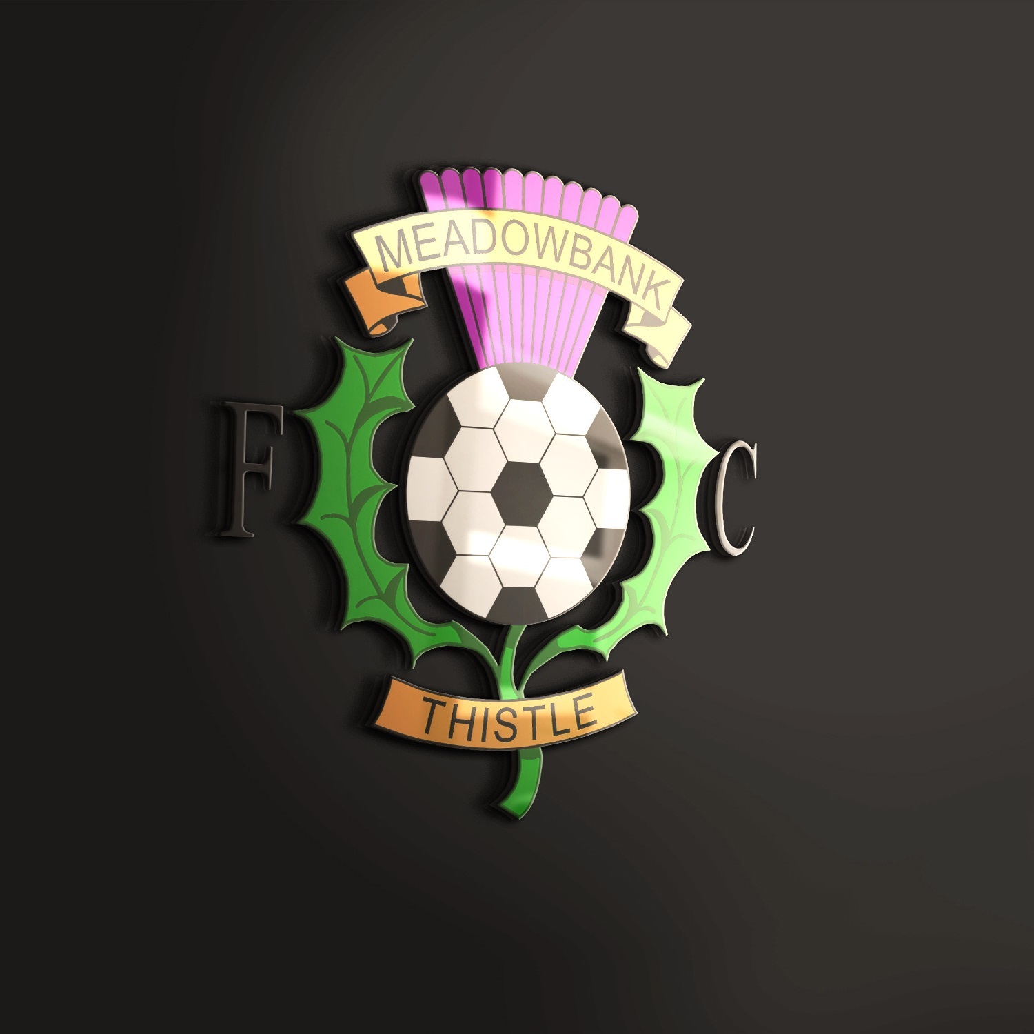 The Meadowbank Thistle Podcast