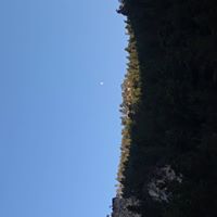 trailbadger