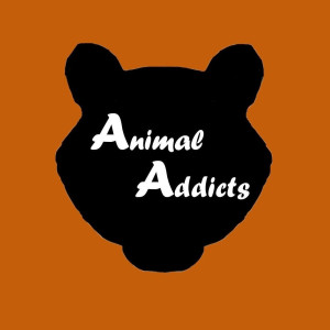 The Animal Addicts Podcast