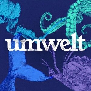 #0 What Is Umwelt?