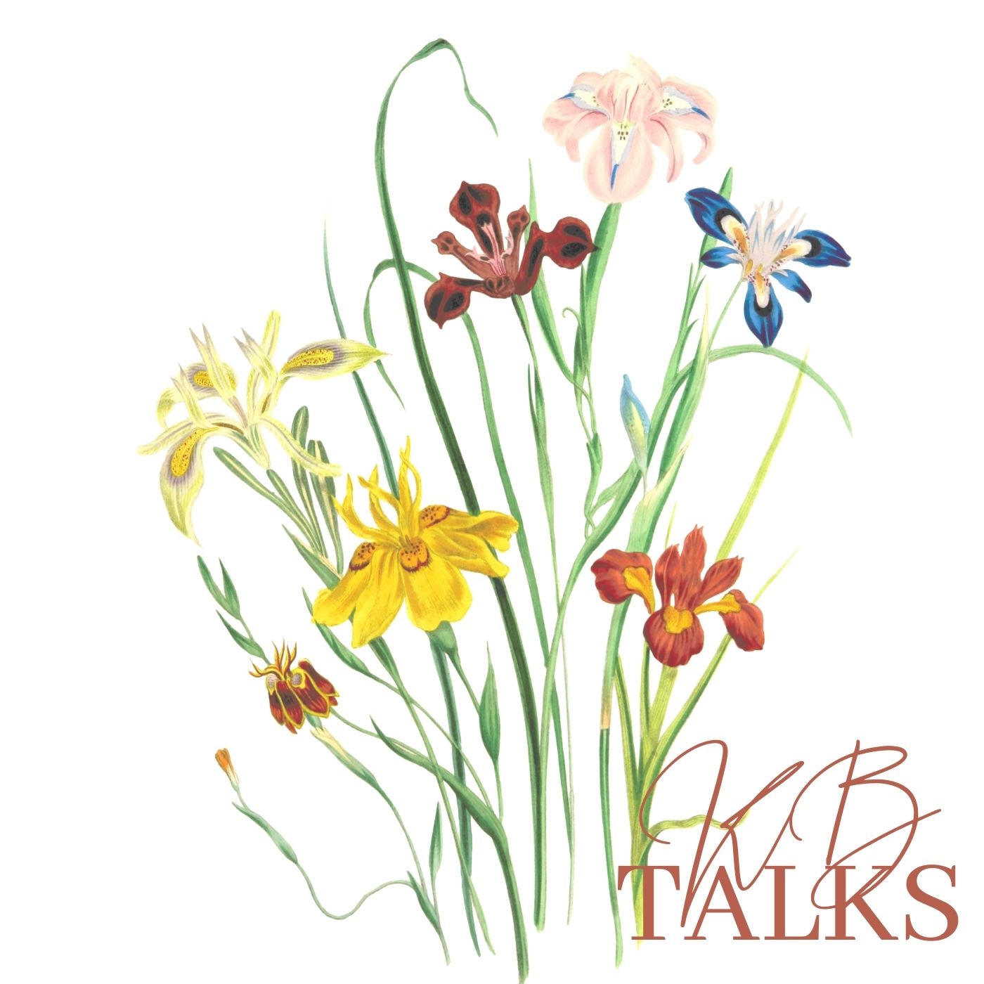 KBTALKS