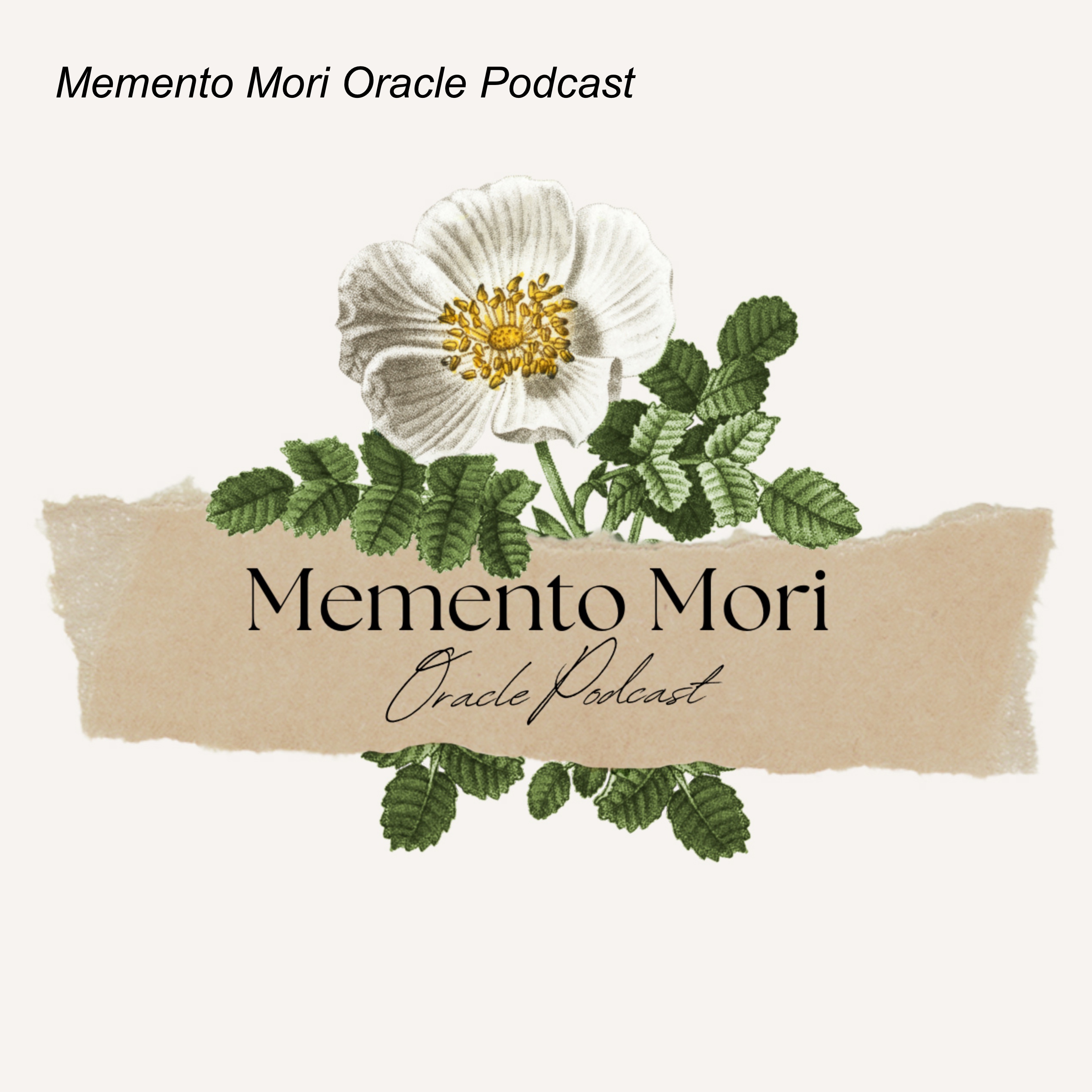 Memento Mori Oracle Podcast
