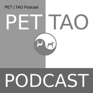 Episode 9: Pets and Businesswoman with Rachel Baribeau