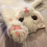 Meowmeow