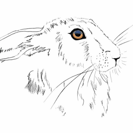 wildaboutwirralrarehare