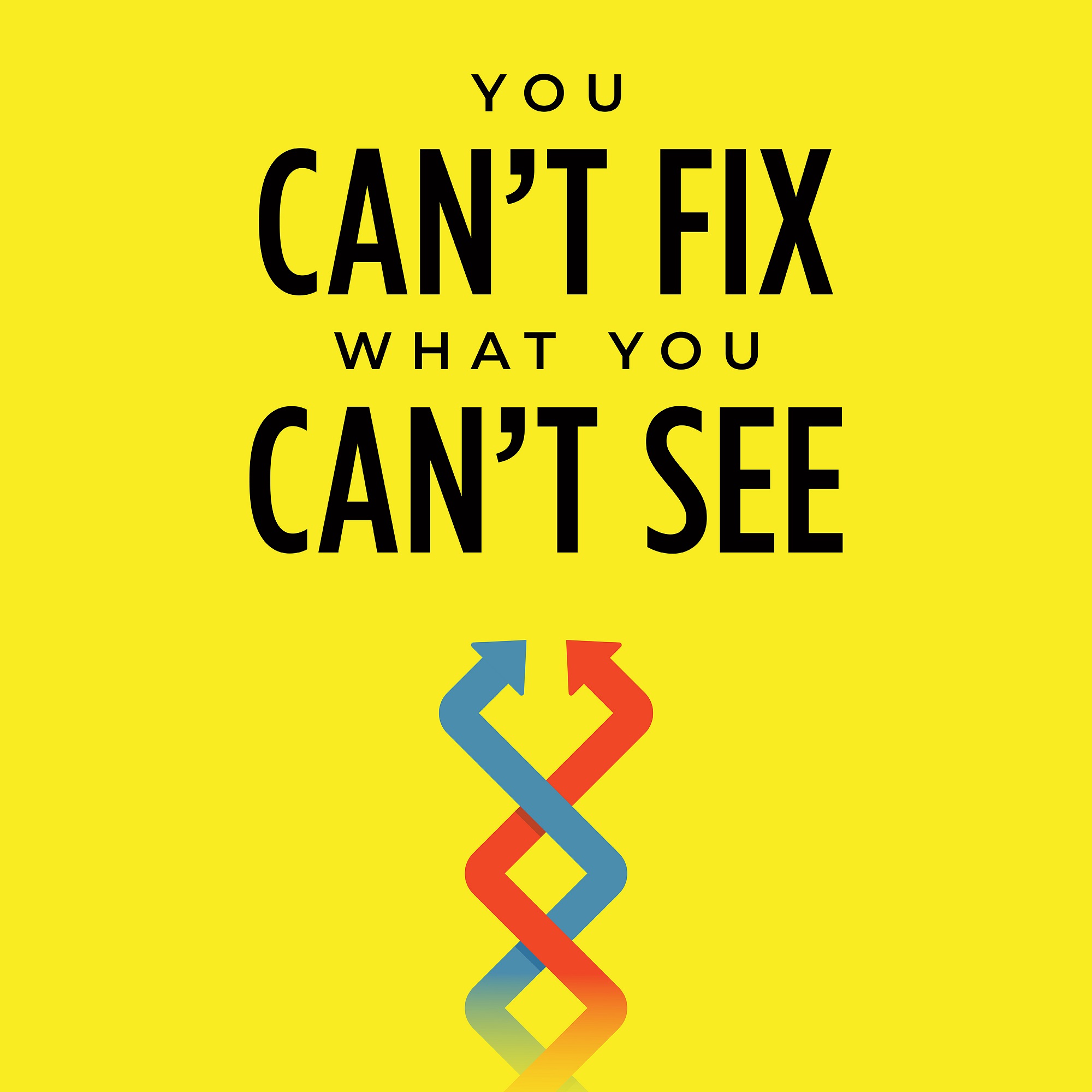 You Can't Fix What You Can't See Podcast