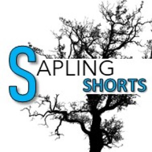 SAPLING shorts