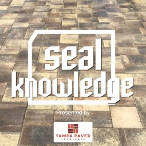 The Benefits of Sealing Pavers in the Hot Florida Climate