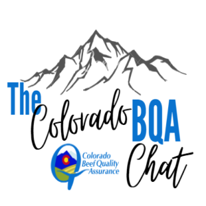 The Colorado BQA Chat