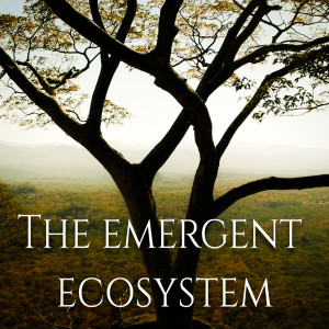 The Emergent Ecosystem