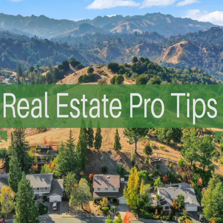 Real Estate Pro Tips