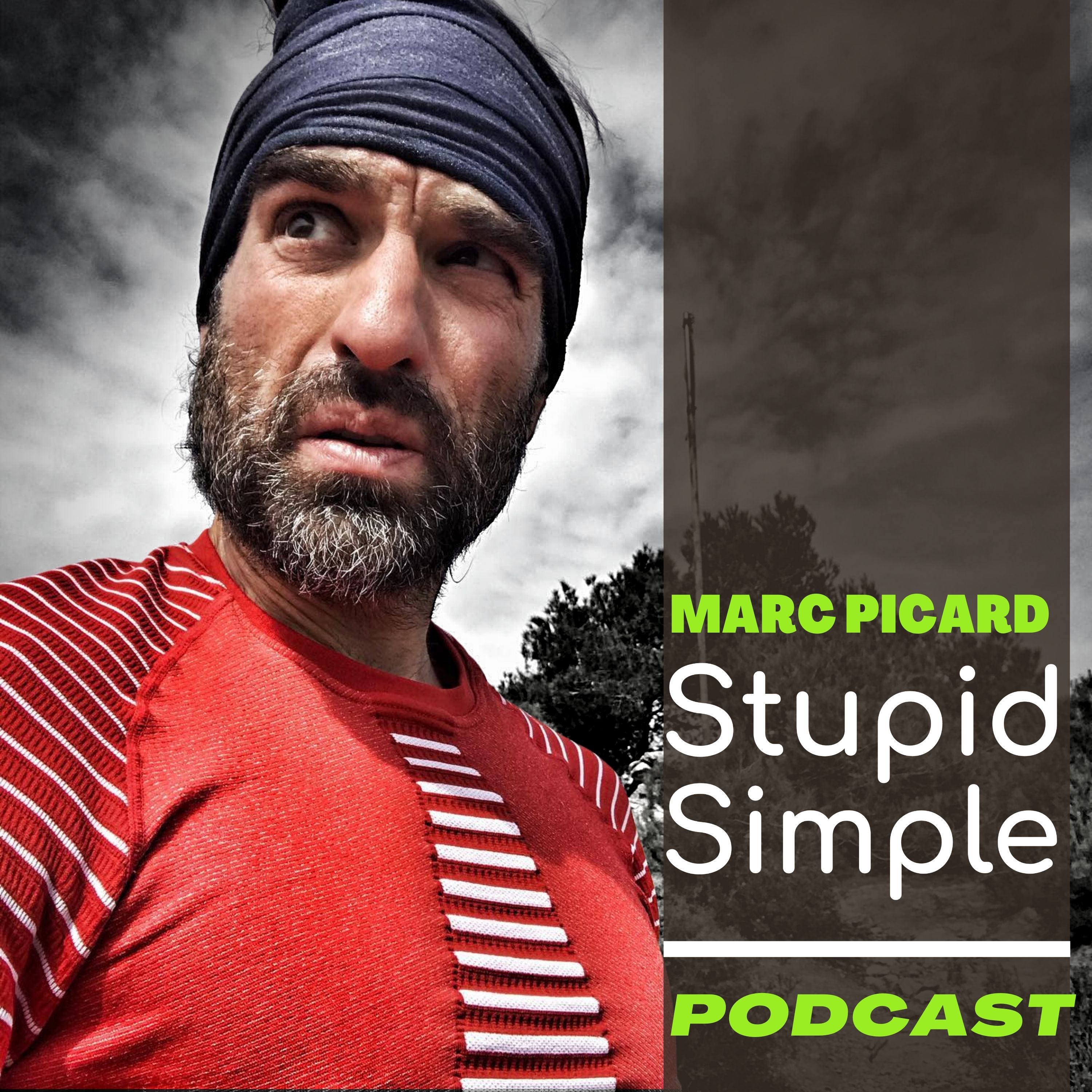 The stupid simple Podcast