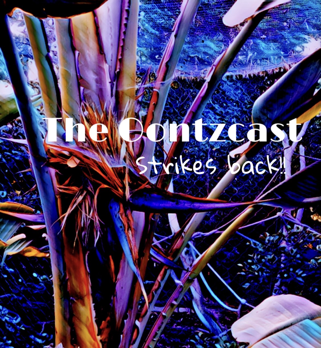 The Oontzcast Strikes Back