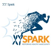 XY Spark