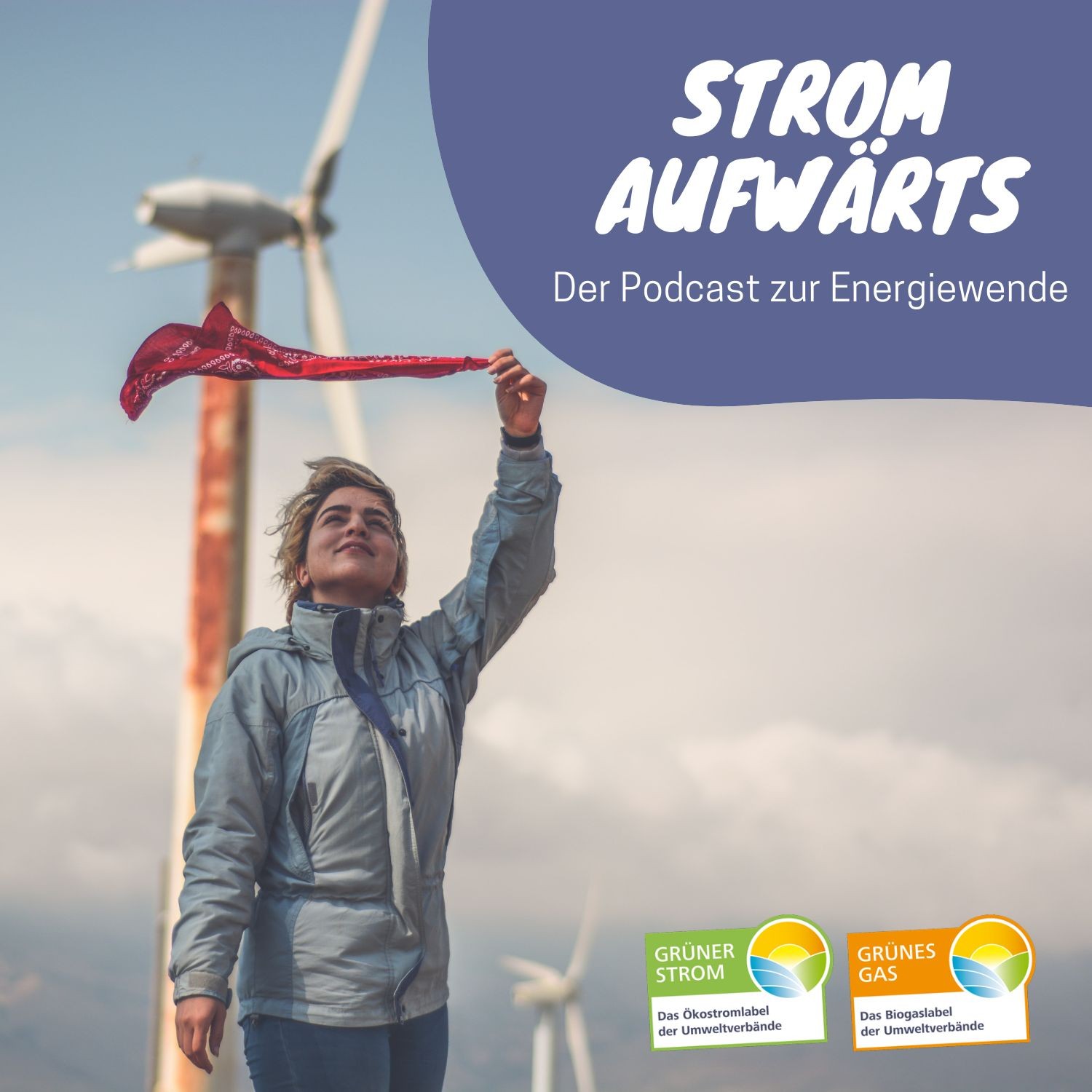 Strom Aufwärts - Der Podcast zur Energiewende