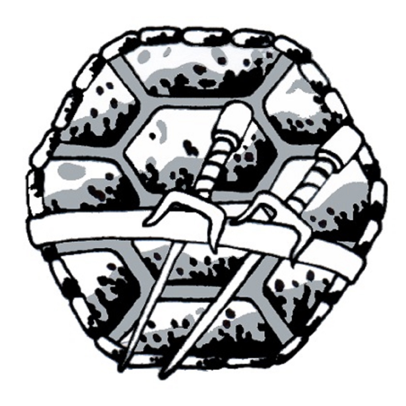 A Turtle Tome Companion