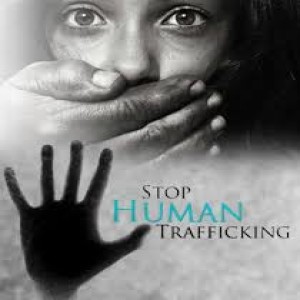 Sex trafficking in the United States