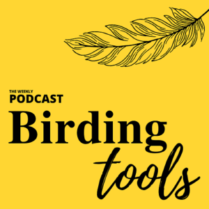 Birding Scope Basics