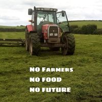 farmer rory