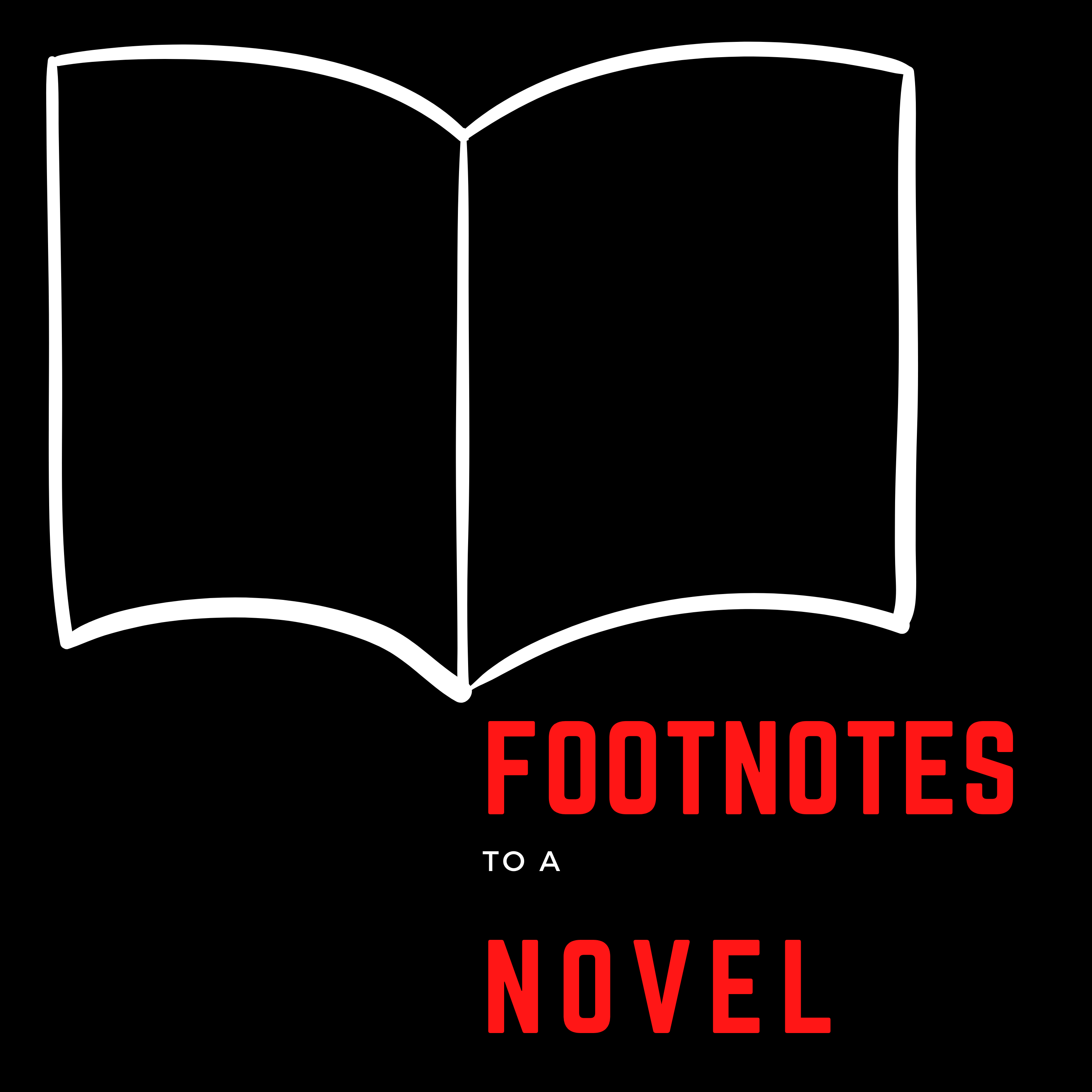 Footnotes to a Novel