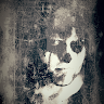 tallistener