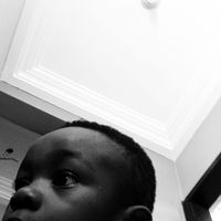 zjc133857445122745
