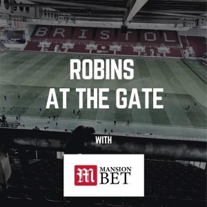 Robins At The Gate- Episode 13